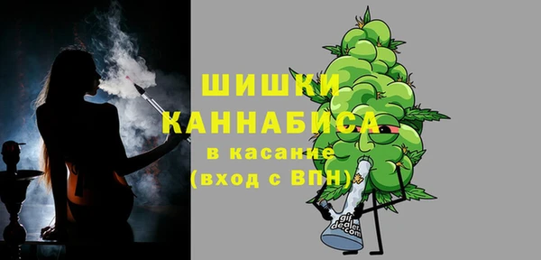 сатива Абинск