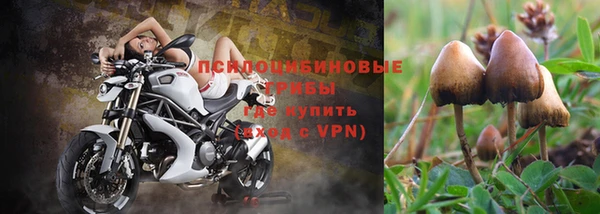 винт Абдулино